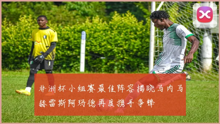 非洲杯小组赛最佳阵容揭晓马内马赫雷斯阿玛德再度携手争锋