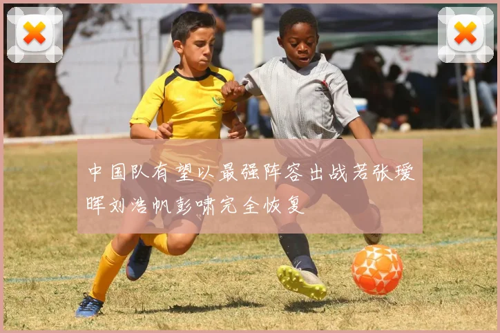 中国队有望以最强阵容出战若张瑷晖刘浩帆彭啸完全恢复