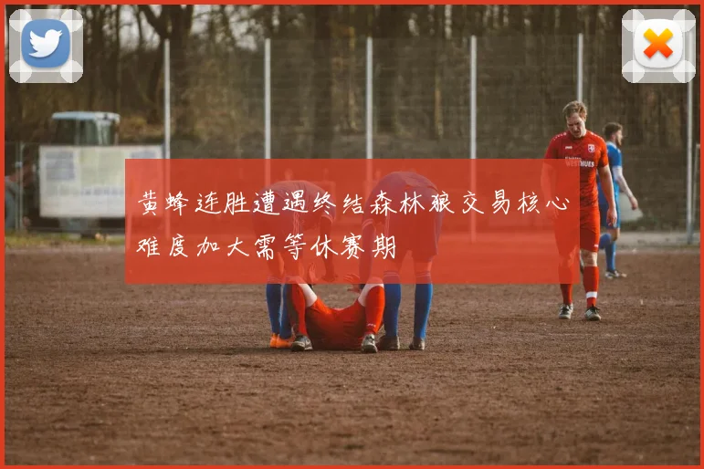 黄蜂连胜遭遇终结森林狼交易核心难度加大需等休赛期