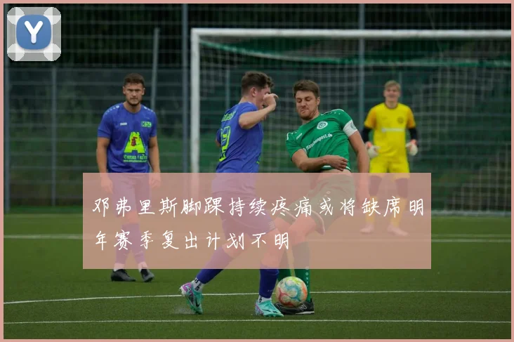 邓弗里斯脚踝持续疼痛或将缺席明年赛季复出计划不明