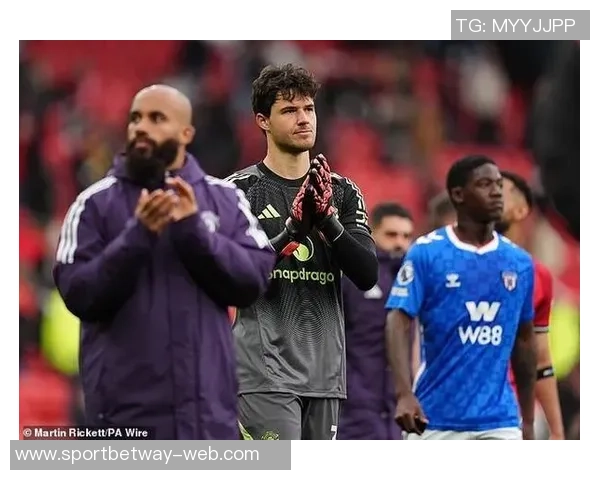 舒梅切尔:对拉门斯的评价需谨慎不宜施加过多压力 舒梅切尔:对拉门斯的评价需谨慎不宜施加过多压力